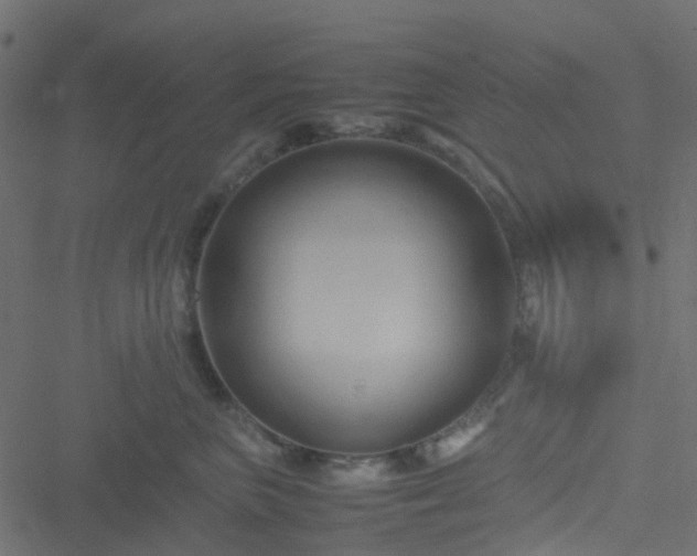 X0000051240667200506241523