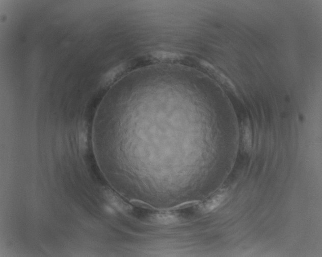 X0000051240668200506241523