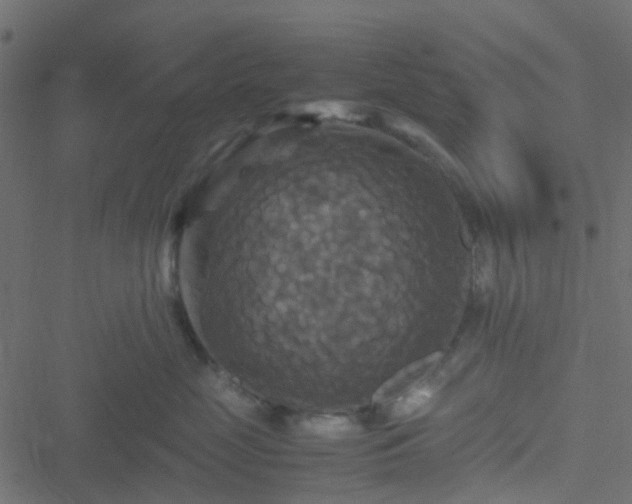 X0000051240669200506241523