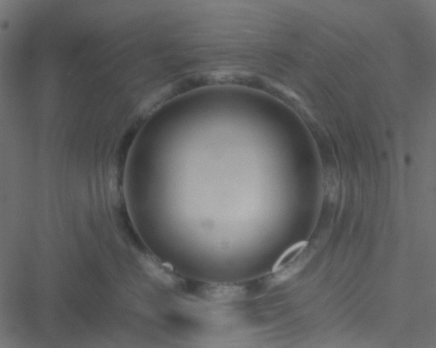 X0000051240670200506241523