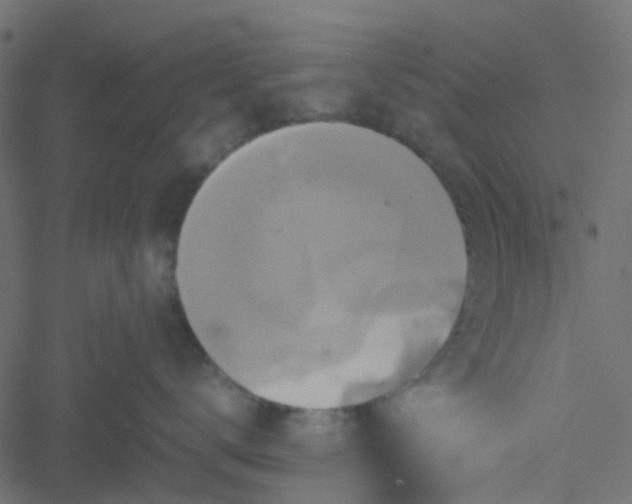 X0000051240672200506241523