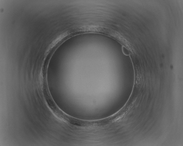 X0000051240674200506241522