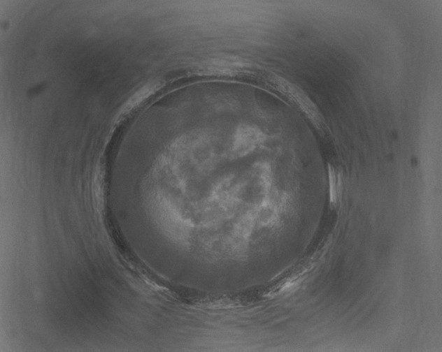 X0000051240675200506241522