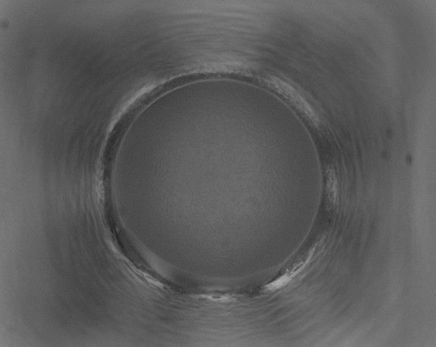 X0000051240676200506241522