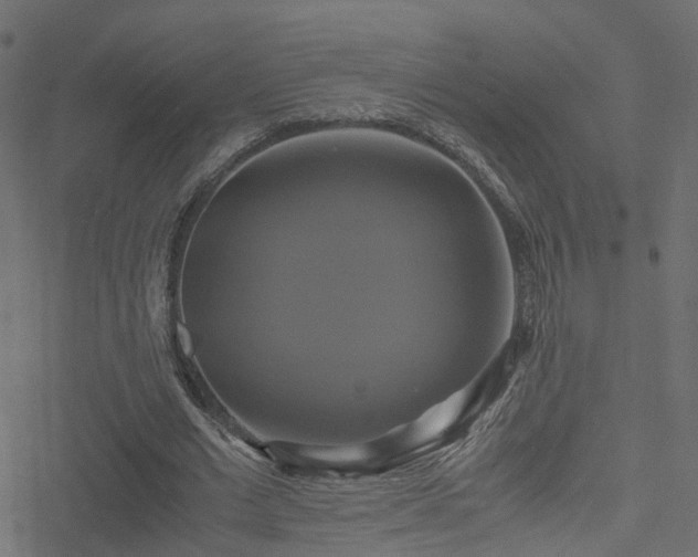 X0000051240677200506241522