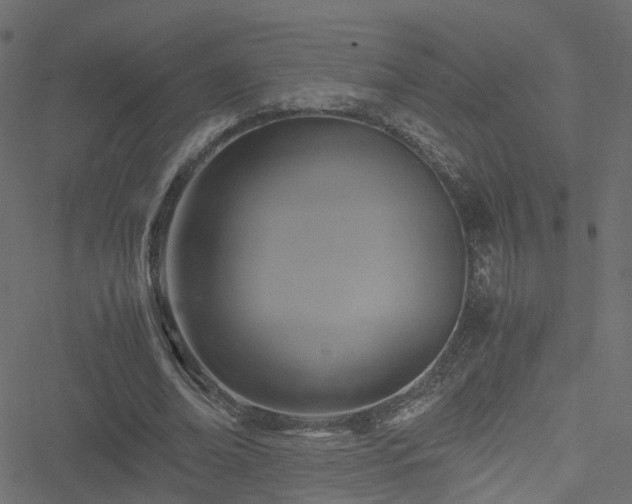 X0000051240678200506241522