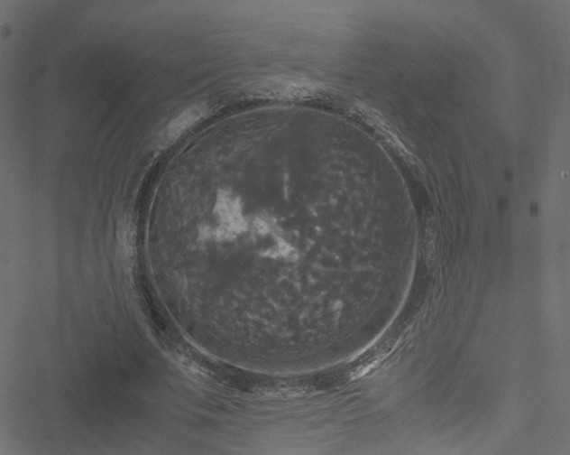 X0000051240679200506241522