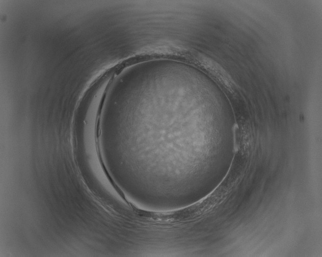 X0000051240680200506241522