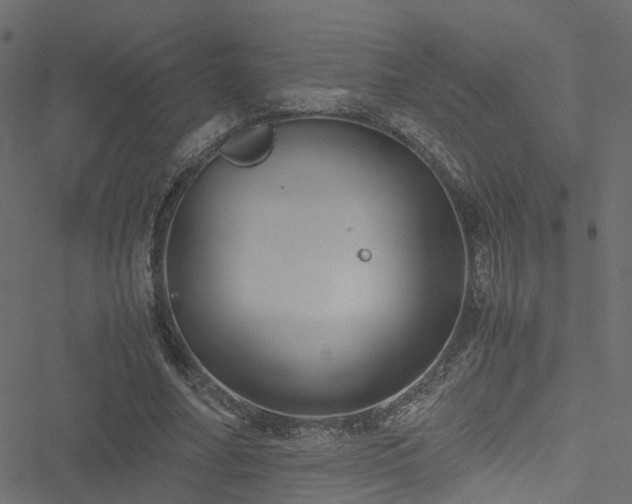 X0000051240682200506241522