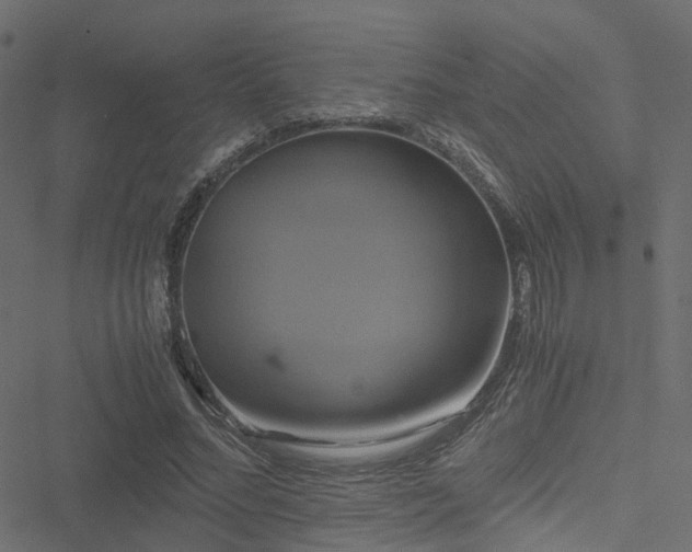 X0000051240684200506241522