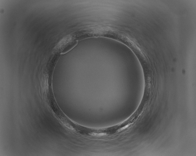 X0000051240685200506241522