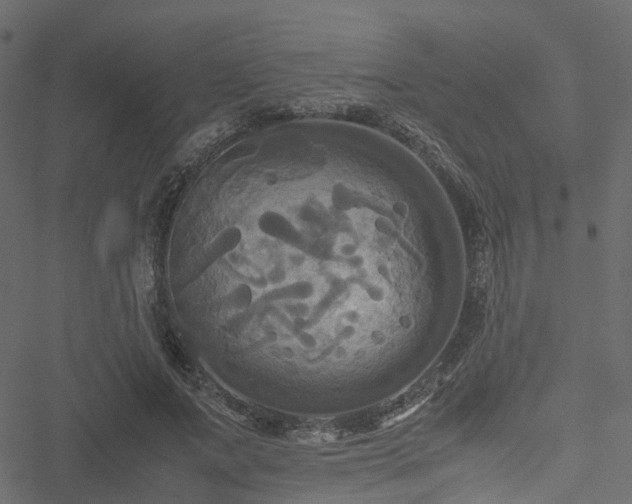 X0000051240687200506241522