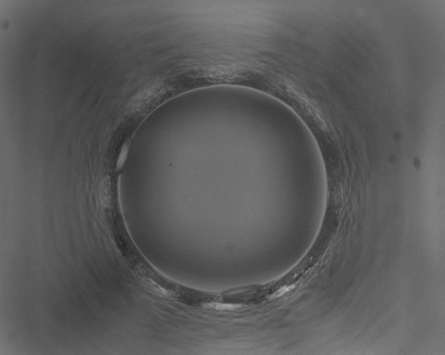 X0000051240689200506241522