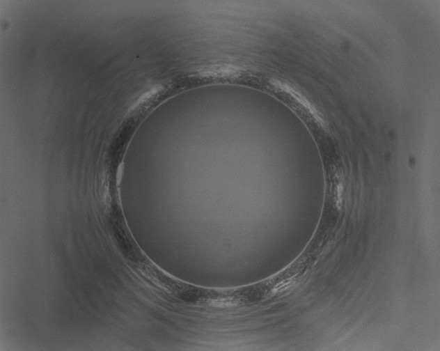 X0000051240692200506241522