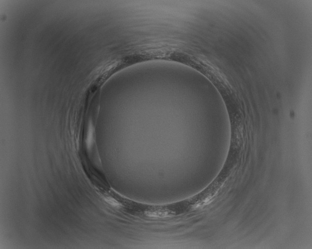 X0000051240693200506241522