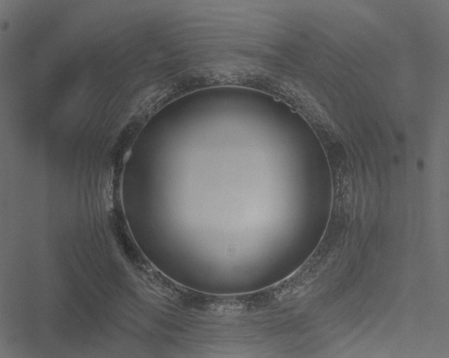 X0000051240694200506241522