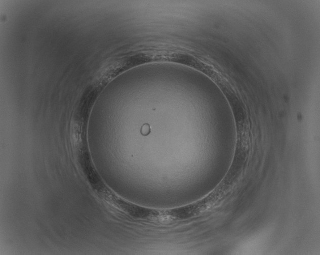 X0000051240695200506241522