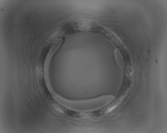 X0000051240697200506241522