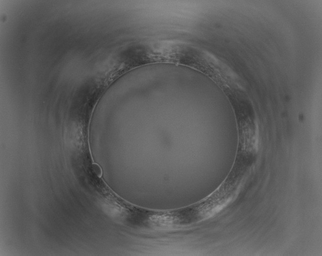 X0000051240699200506241521