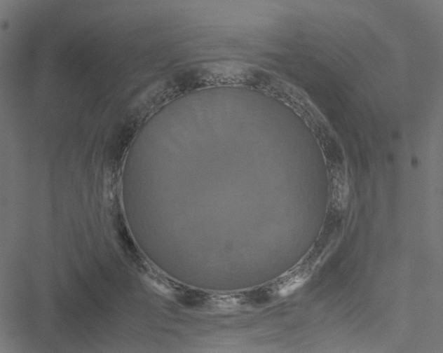 X0000051240701200506241521