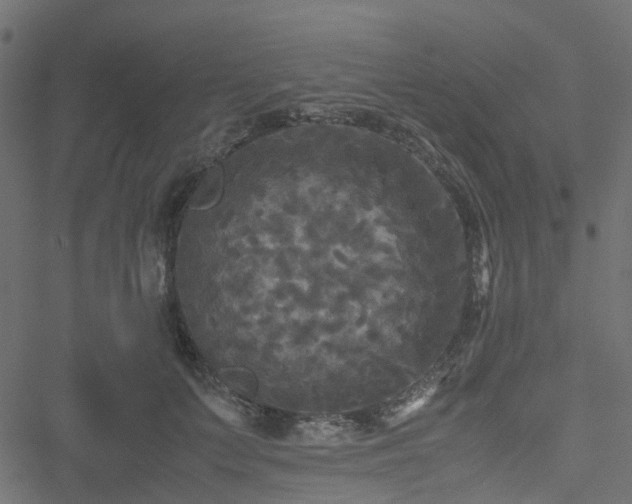 X0000051240703200506241521