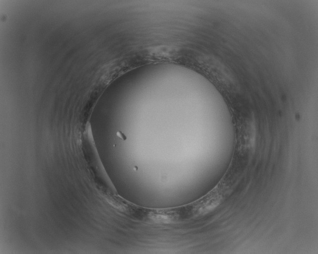 X0000051240706200506241521