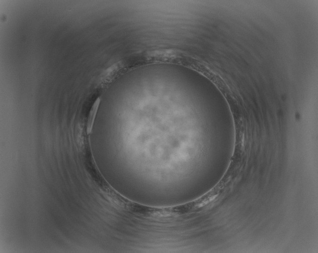 X0000051240708200506241521