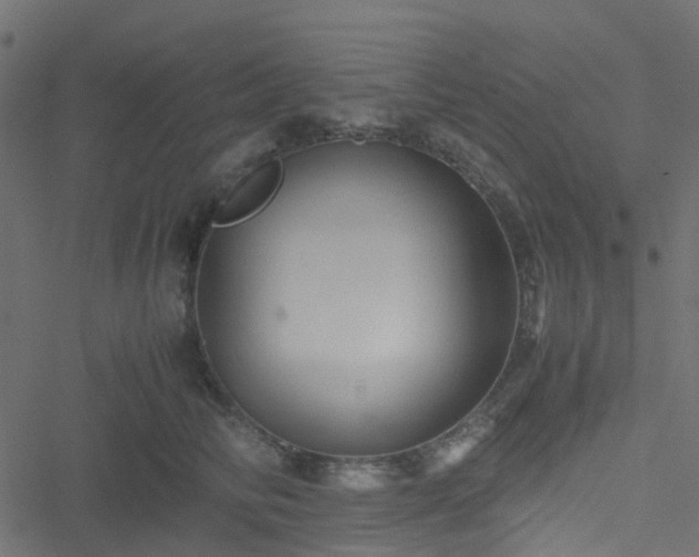 X0000051240710200506241521