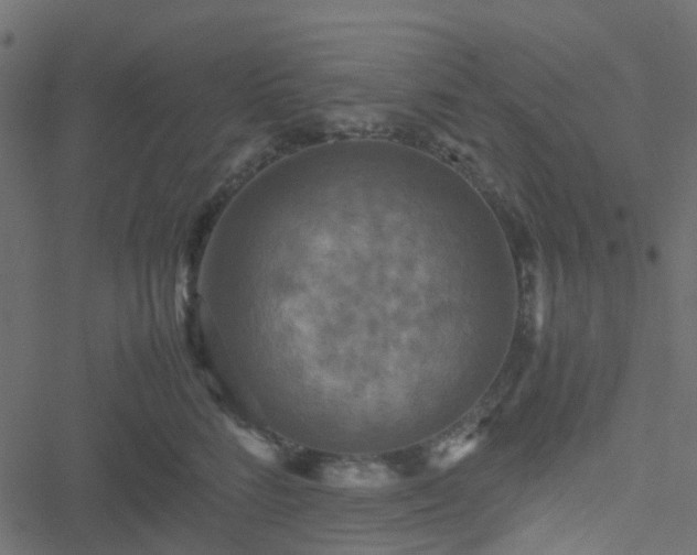 X0000051240712200506241521