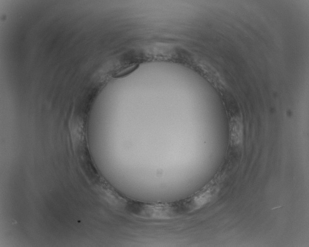 X0000051240713200506241521