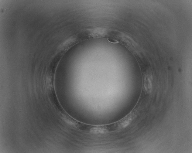 X0000051240714200506241521