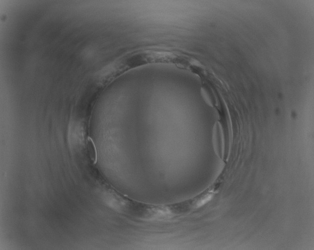 X0000051240715200506241521