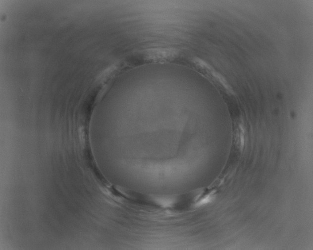 X0000051240716200506241521