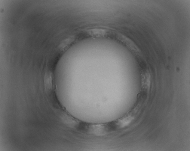 X0000051240717200506241521