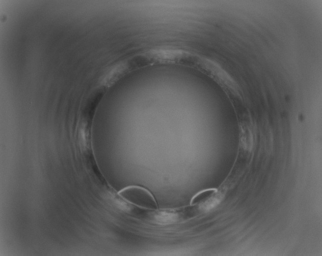 X0000051240718200506241521