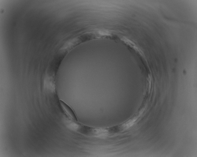 X0000051240719200506241521