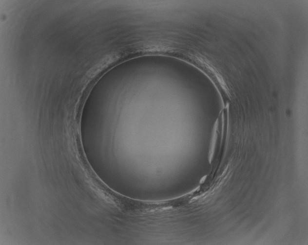 X0000051240721200506241520