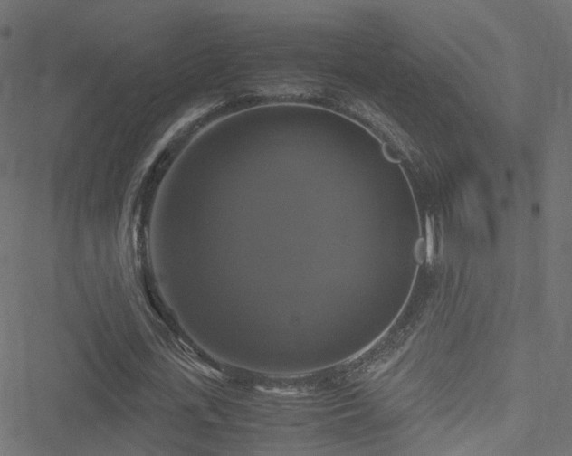 X0000051240723200506241520