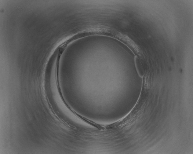 X0000051240724200506241520