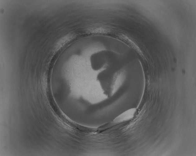 X0000051240725200506241520