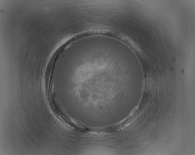 X0000051240726200506241520