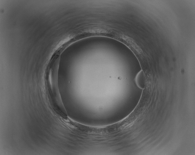 X0000051240727200506241520