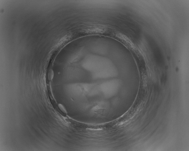 X0000051240729200506241520