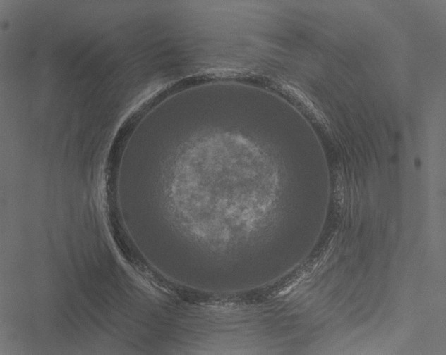 X0000051240730200506241520