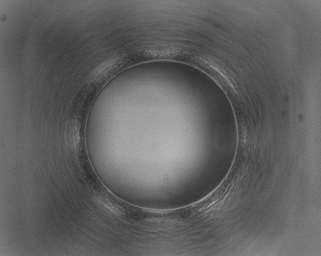 X0000051240733200506241521