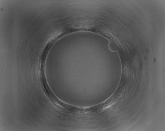 X0000051240735200506241521