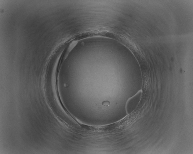 X0000051240736200506241521