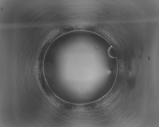 X0000051240738200506241521