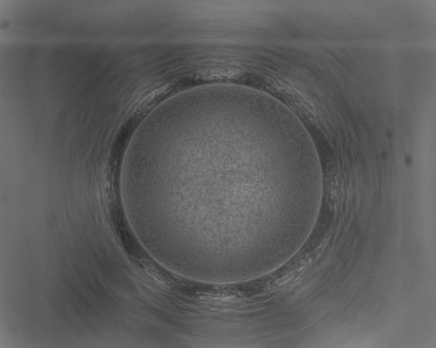 X0000051240743200506241521