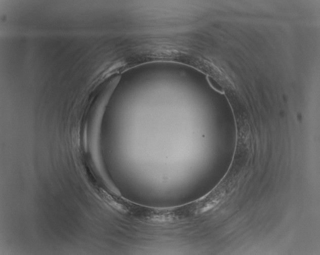 X0000051240744200506241521